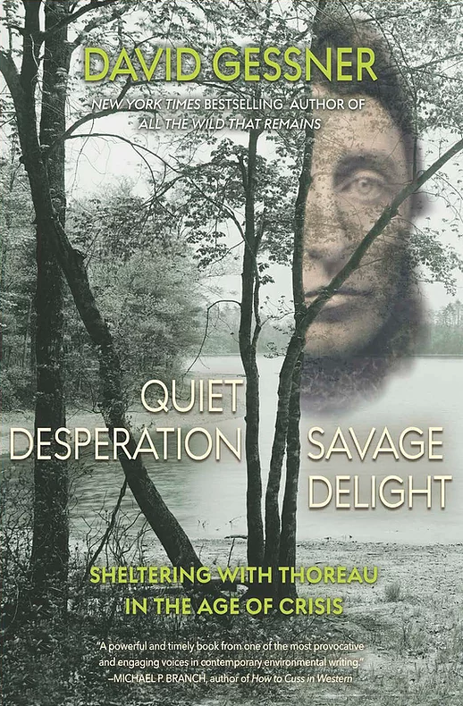 Quiet Desperation, Savage Delight
