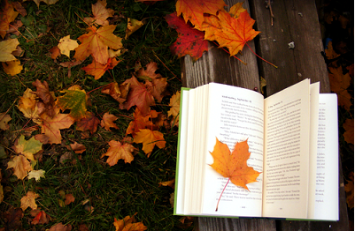6 Fall Books to Fall Into