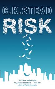 Risk: A Novel