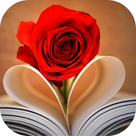 10 Romantic Reads for Valentine’s Day