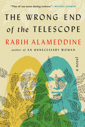 The Wrong End of the Telescope: A Novel