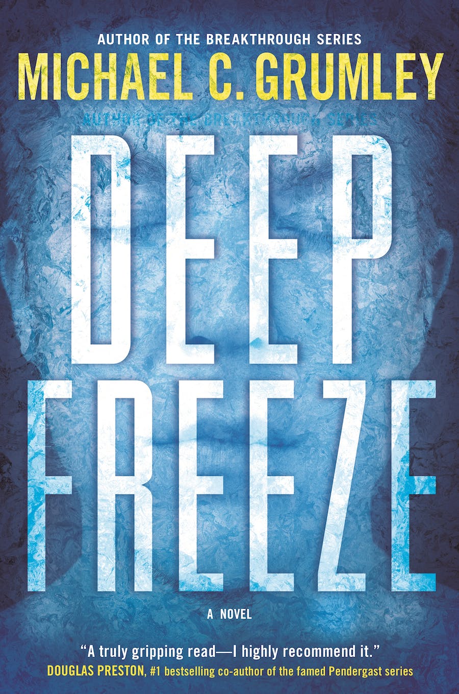 Deep Freeze: A Novel
