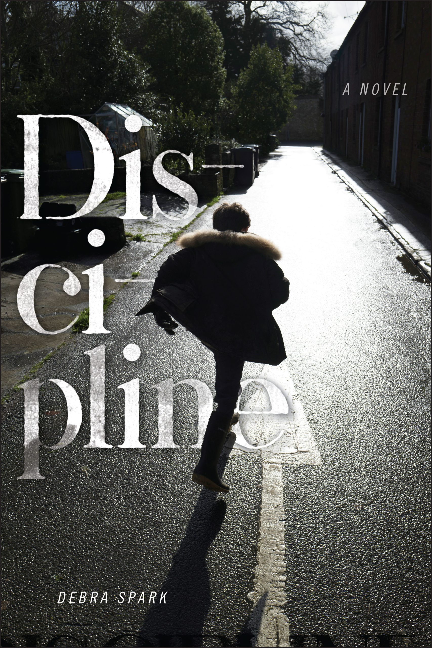 Discipline: A Novel