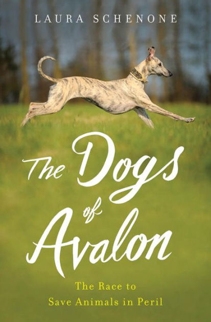 The Dogs of Avalon: The Race to Save Animals in Peril