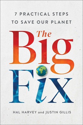 The Big Fix: 7 Practical Steps to Save Our Planet