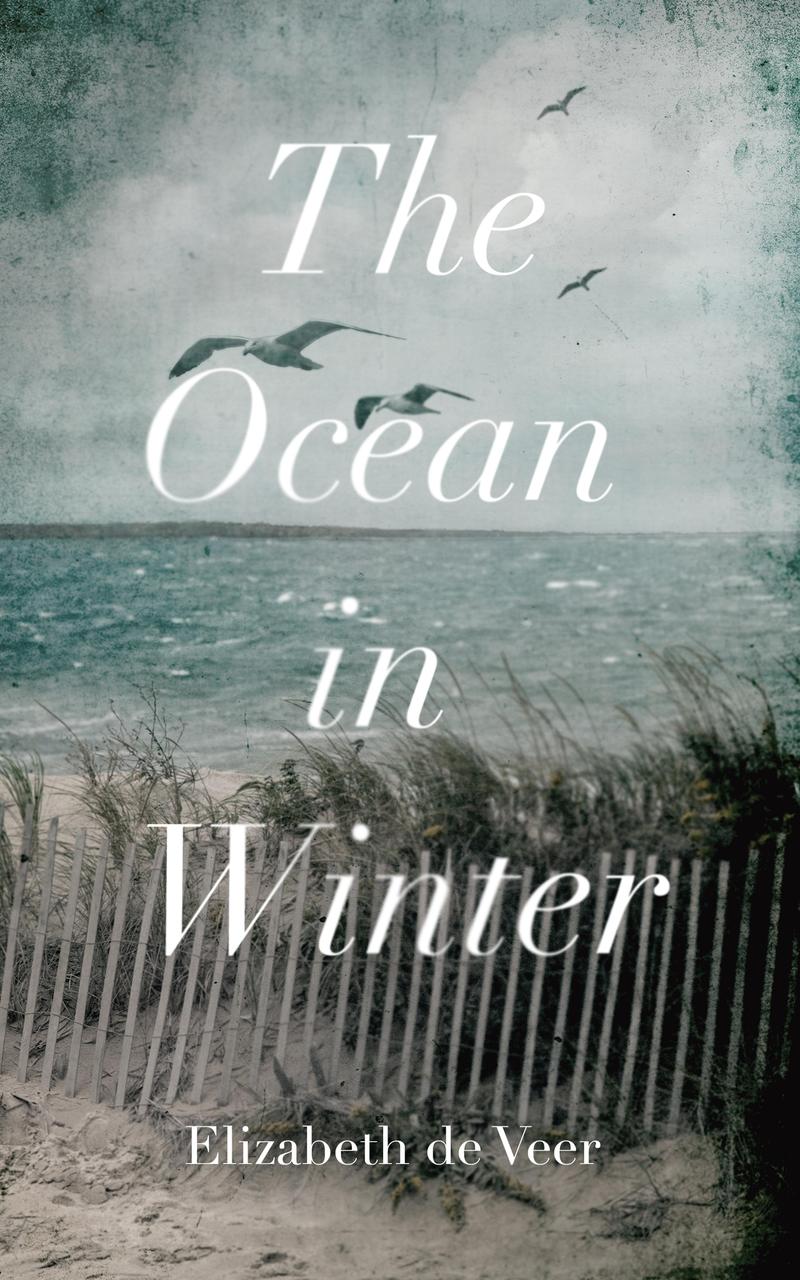The Ocean in Winter: A Novel