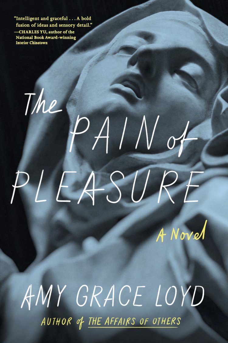 The Pain of Pleasure: A Novel