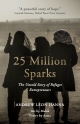 25 Million Sparks