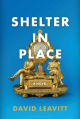 Shelter in Place: A Novel