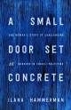 A Small Door Set in Concrete: One Woman’s Story of Challenging Borders in Israel/Palestine