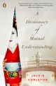A Dictionary of Mutual Understanding: A Novel