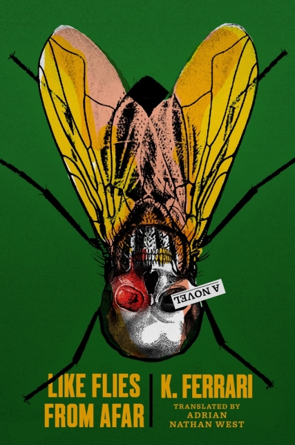 Like Flies from Afar: A Novel