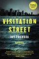 Visitation Street: A Novel